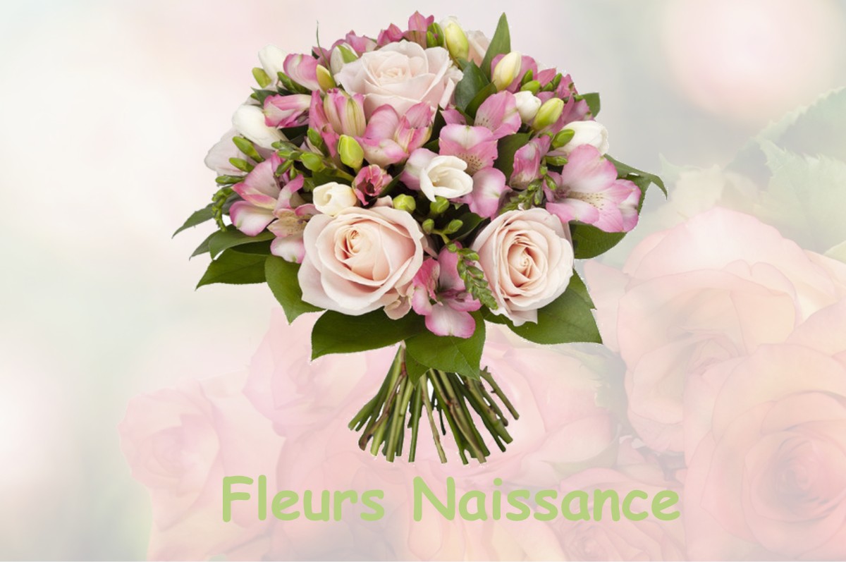 fleurs naissance BROUSSEY-EN-BLOIS