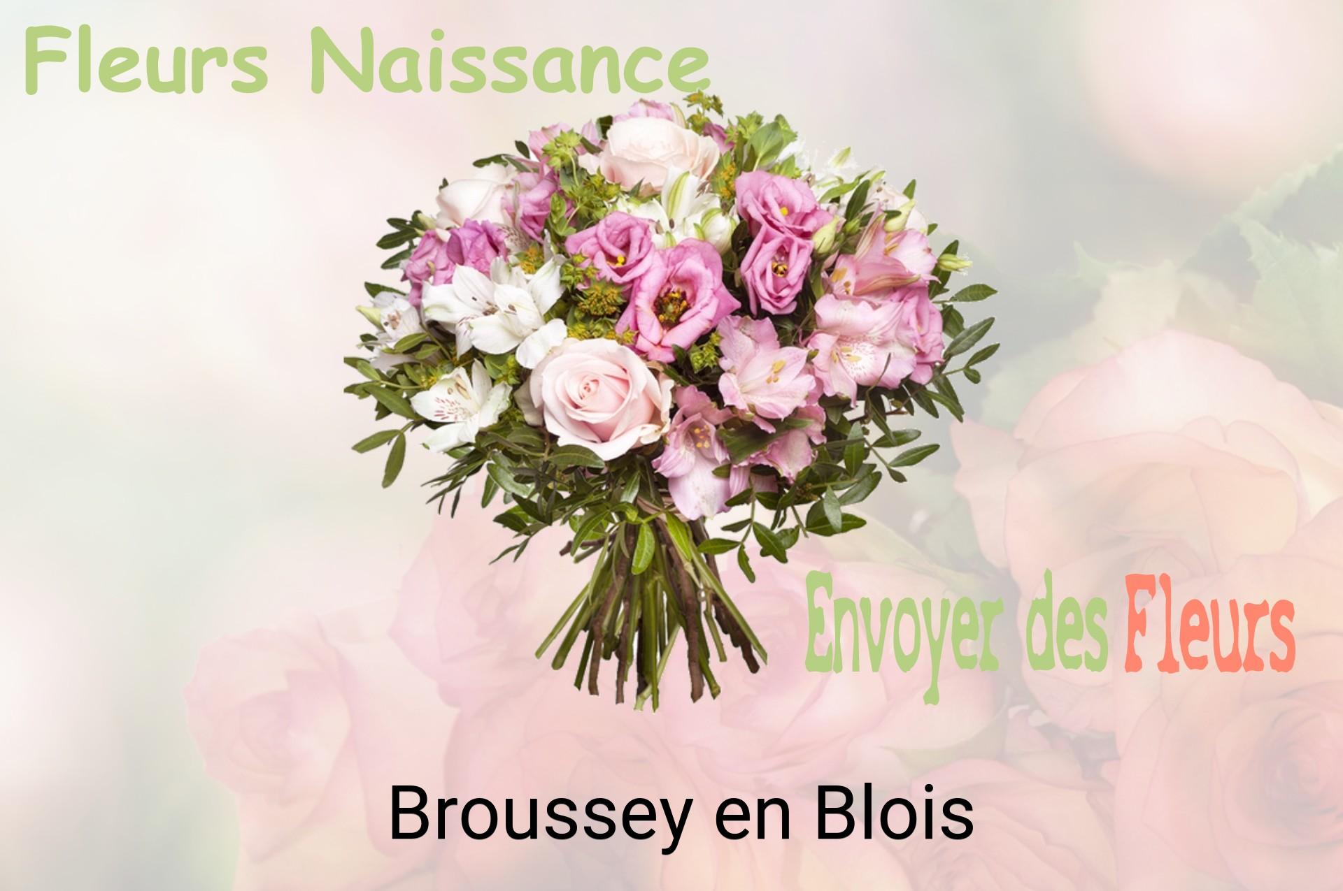 Bouquet de fleurs de naissance livré à Broussey-en-Blois