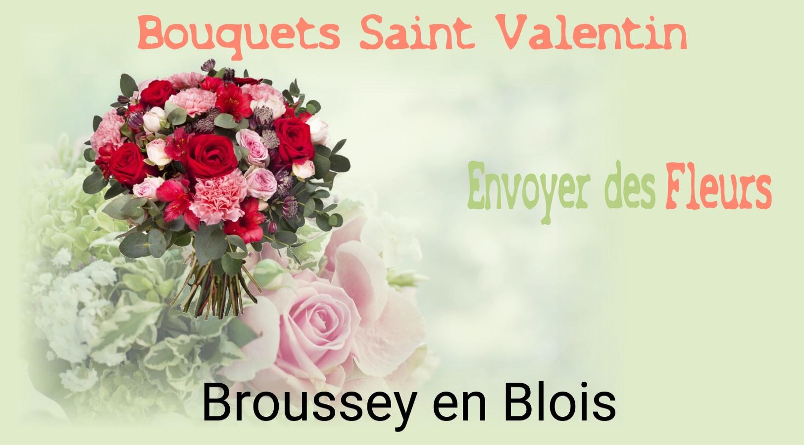 Roses de Saint-Valentin livrées à Broussey-en-Blois