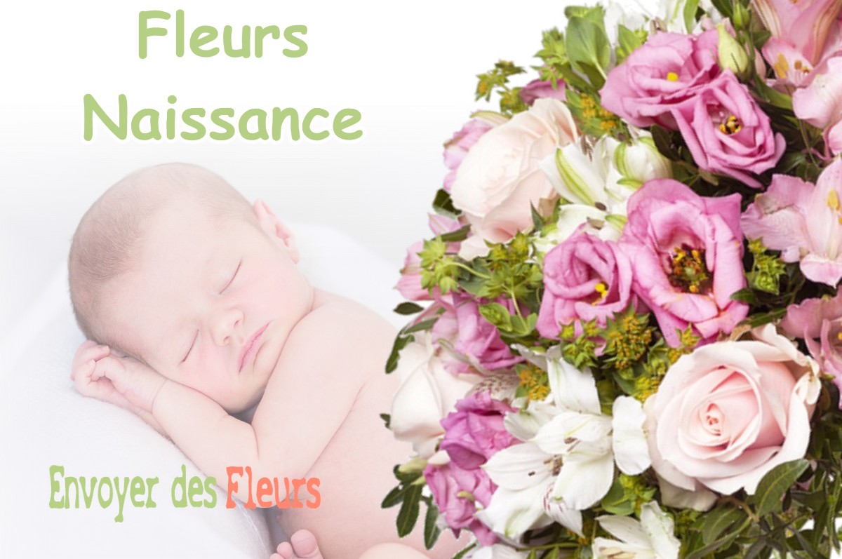 lIVRAISON FLEURS NAISSANCE à BROUSSEY-EN-BLOIS